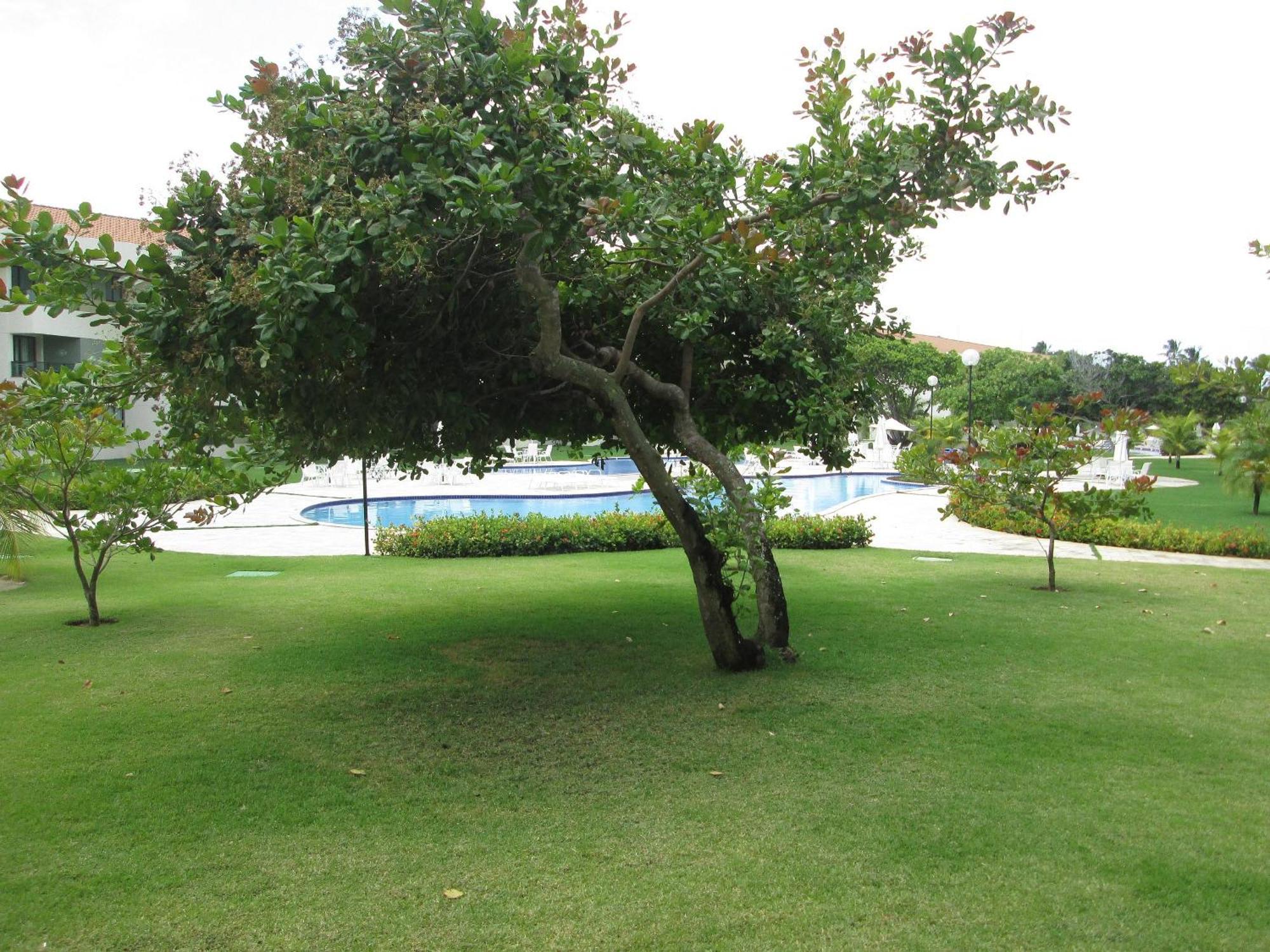 Carneiros Beach Resort Praia dos Carneiros Eksteriør billede